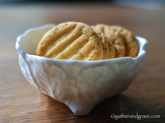 Gather and Graze, Hokey Pokey Biscuits