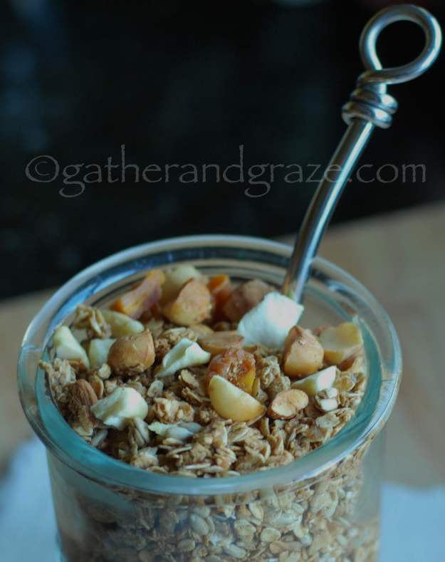 Toasted Muesli / Granola | Gather and Graze