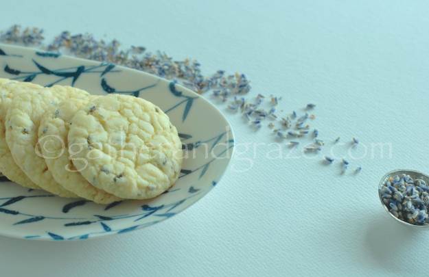 Lavender White Chocolate Shortbread | Gather and Graze