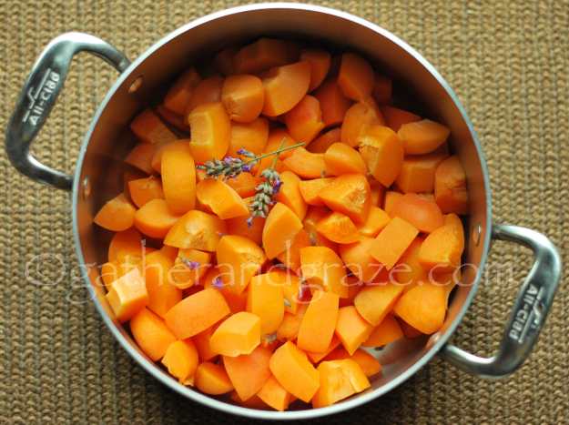 Apricot and Lavender Jam | Recipe | Gather and Graze