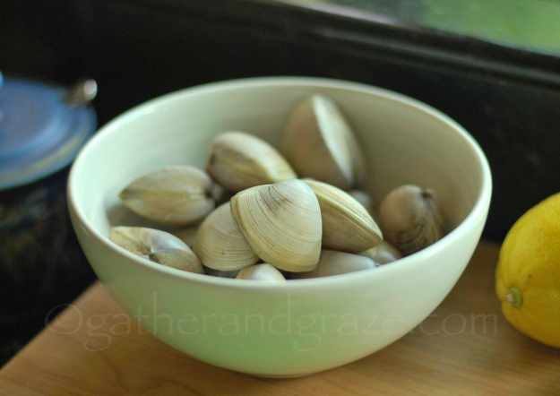 Ottolenghi's Prawns, Scallops and Clams with Tomato and Feta | Gather and Graze