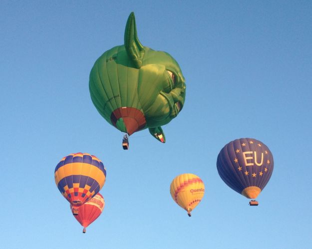 Yoda | Canberra Balloon Specatacular 2015 | Gather and Graze