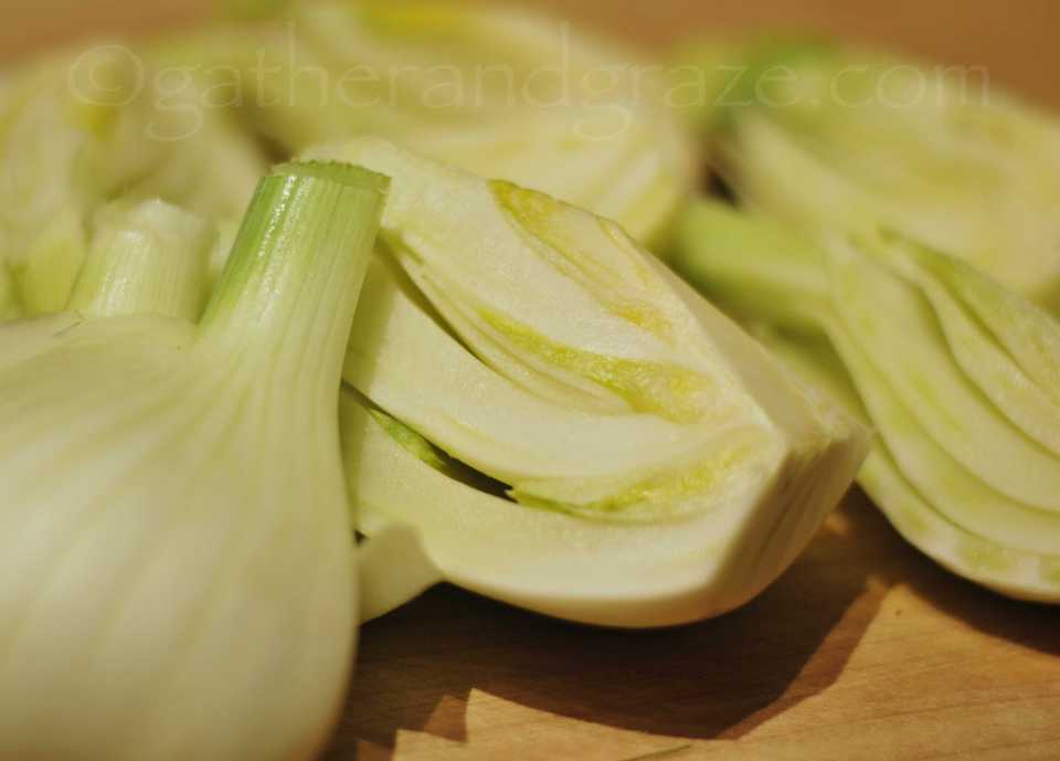 Fennel | Gather and Graze