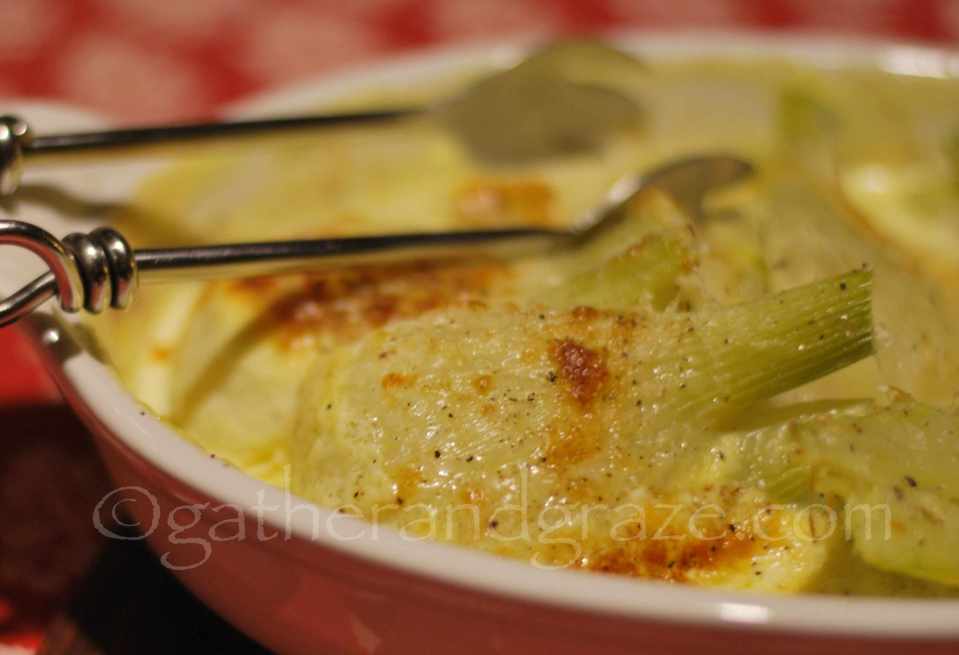 Fennel Gratin | Gather and Graze
