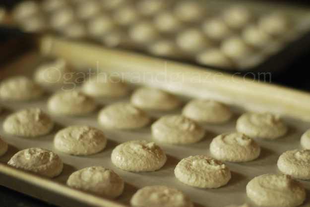 Sarah Bernhardt Cookies | Gather and Graze