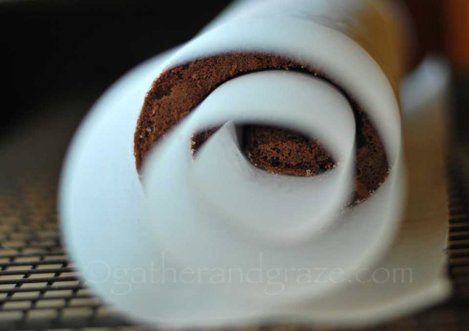 Chocolate Swiss Roll with Nutella Cream | Gather and Graze