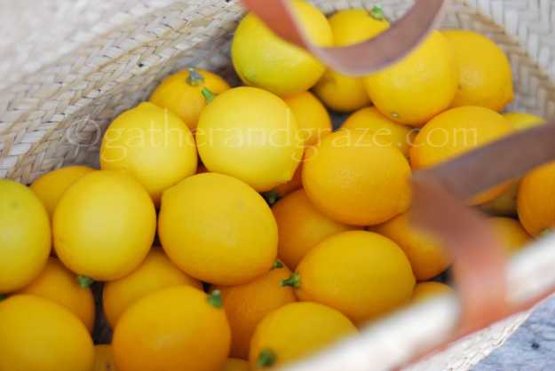 Four Recipes with Meyer Lemons | Gather and Graze
