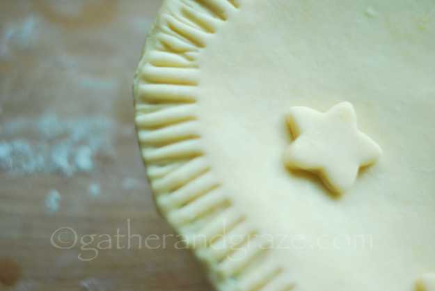 Beef, Rosemary & Red Wine Pie with Rough Puff Pastry | Gather and Graze