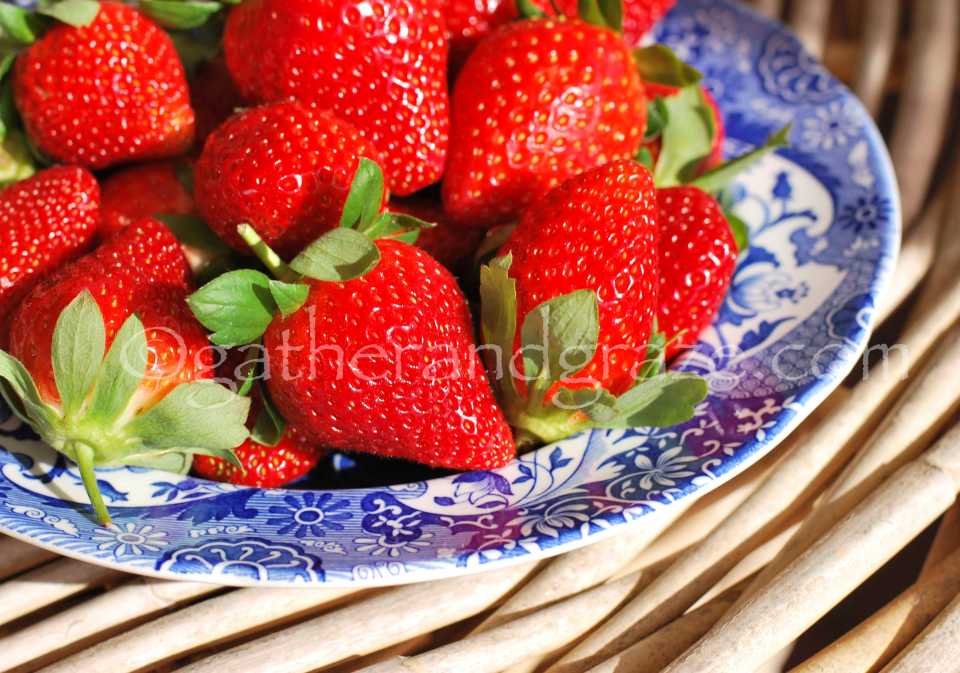 Strawberry Cream Biscuit / Cookie Baskets Recipe | Gather and Graze