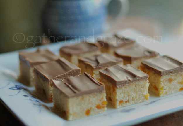 Apricot Coconut Slice | Gather and Graze