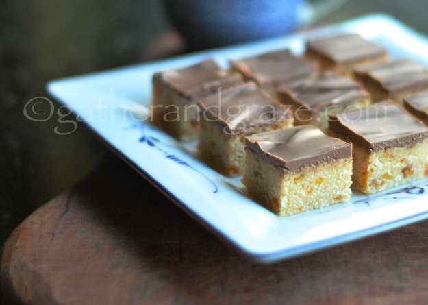 Apricot Coconut Slice | Gather and Graze