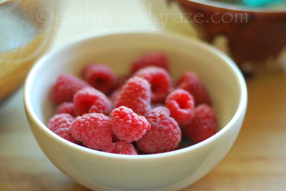 Raspberry Cream Cheese Brownies | Gather and Graze