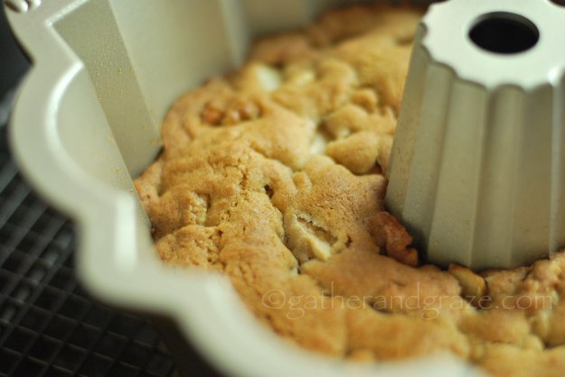 Apple and Walnut Picnic Cake | Gather and Graze