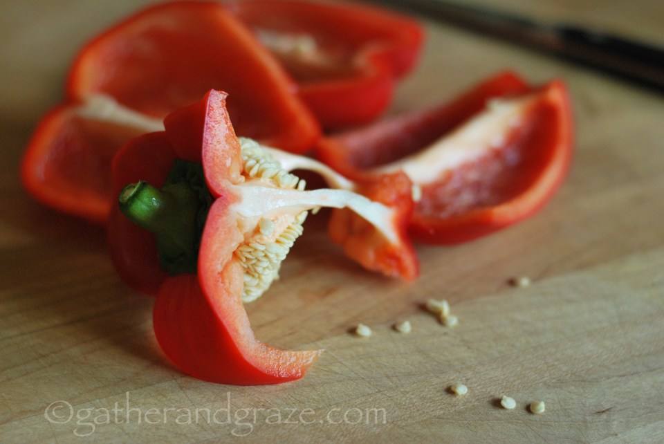 Satay Chilli Chicken | Gather and Graze