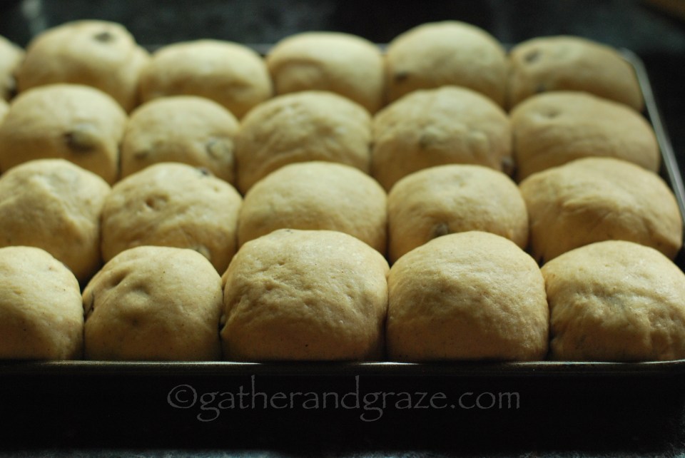 Chocolate-Chip Spice Buns | Gather and Graze