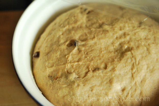 Chocolate-Chip Spice Buns | Gather and Graze