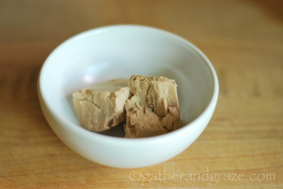 Fresh Yeast | Gather and Graze