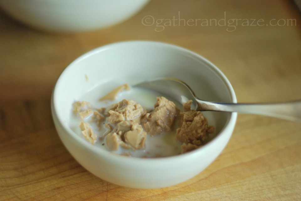 Fresh Yeast | Gather and Graze