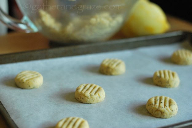 Lemon Poppyseed Biscuits/Cookies | Gather and Graze