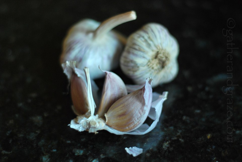 Beef & Red Wine Casserole Recipe | Gather and Graze