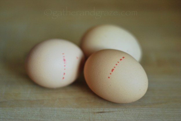 Orange Poppyseed Quatre-Quarts Cake | Gather and Graze